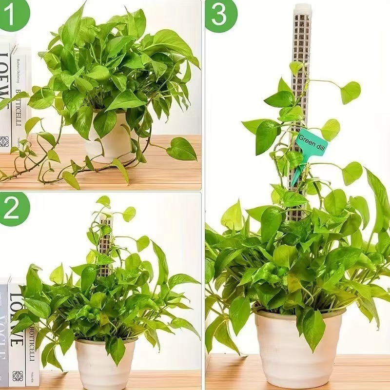 1/2/3 adet Kendinden sulanan y - Tree Stand Ladder incelemesi ve fiyatı